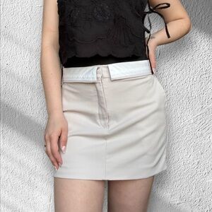 Aritzia Babaton Bureau Mini Skirt